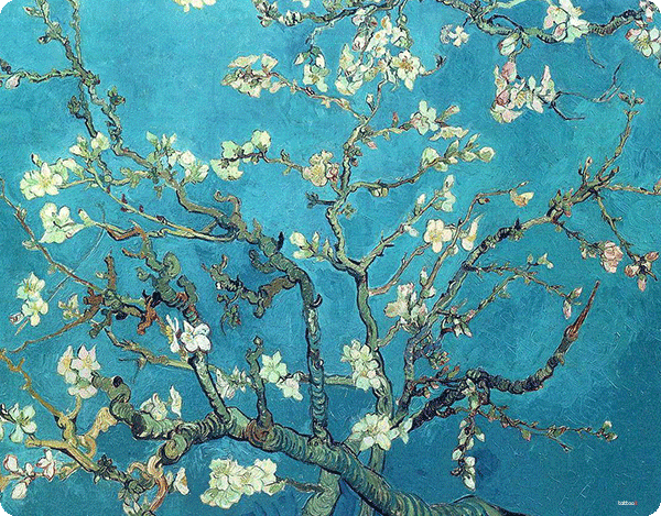 Van Gogh - Branches with Almond Blossom