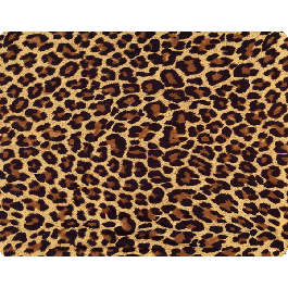 Leopard Print - Sony Xperia Z3 Husa Book Neagra Piele Eco