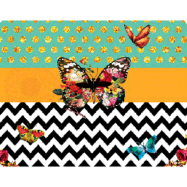 Butterfly Contrast - iPhone 6 Skin