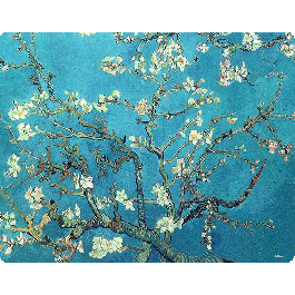 Van Gogh - Branches with Almond Blossom - Sony Xperia E1 Carcasa Neagra Silicon
