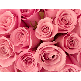 Roses are pink - Skin Telefon