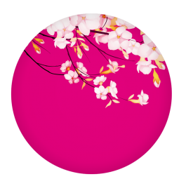 Popsocket Cherry Blossom, Accesoriu telefon