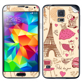 France - Samsung Galaxy S5 Skin