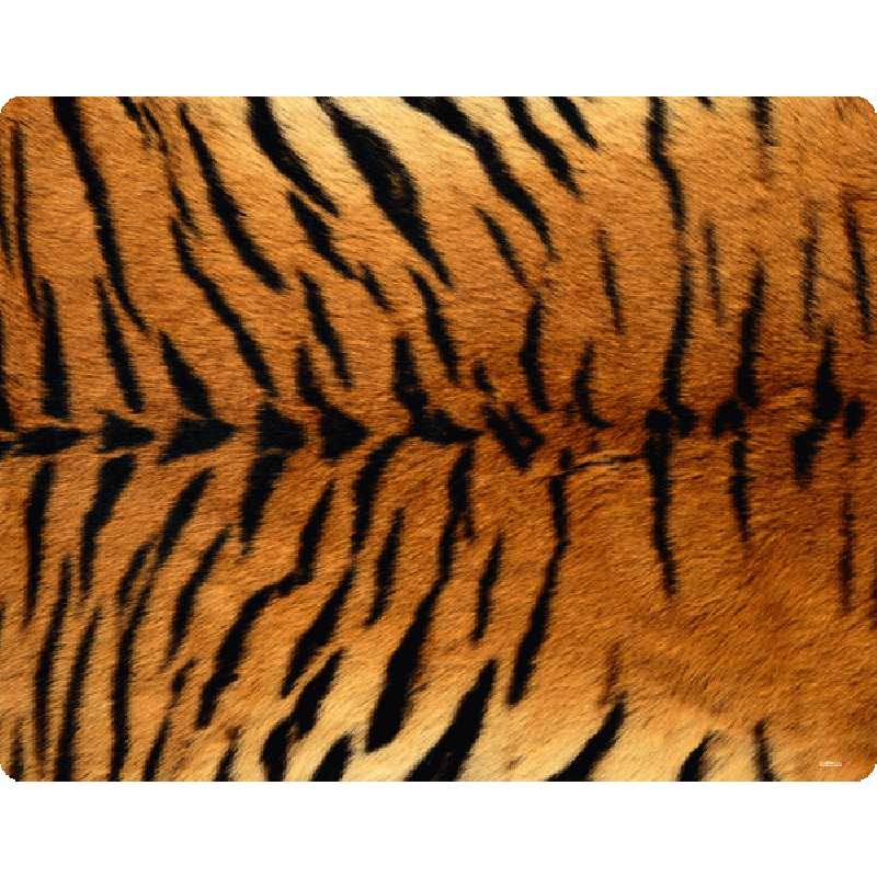 Tiger Fur - Sony Xperia E1 Carcasa Neagra Silicon