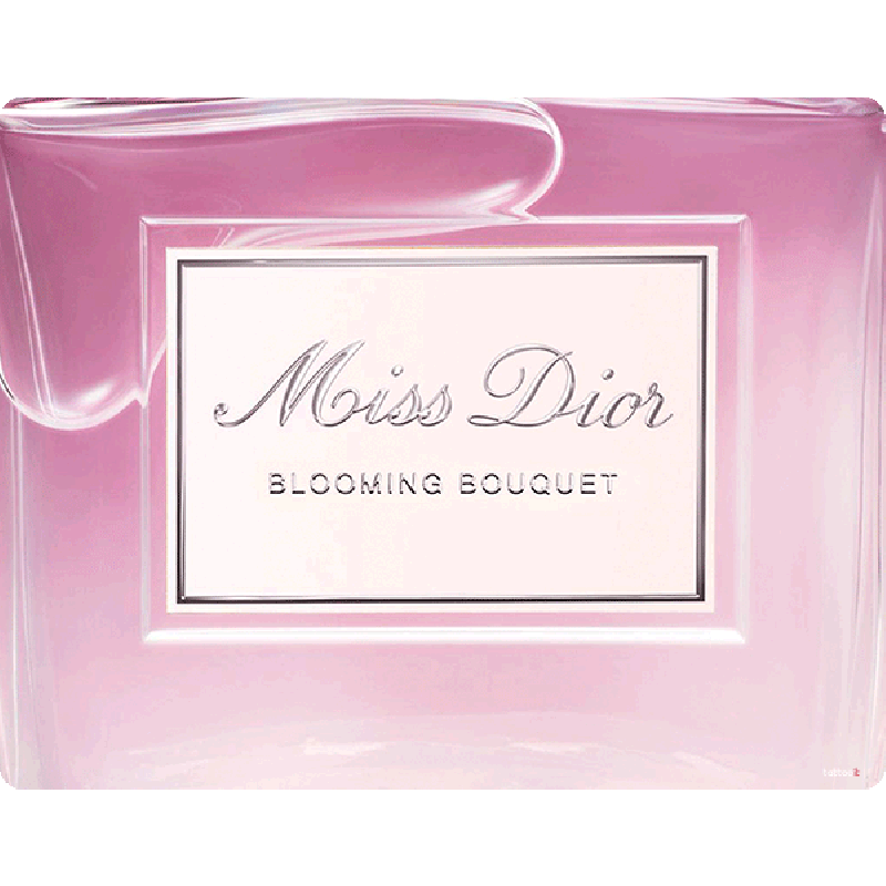 Miss Dior Perfume - Sony Xperia E1 Carcasa Neagra Silicon