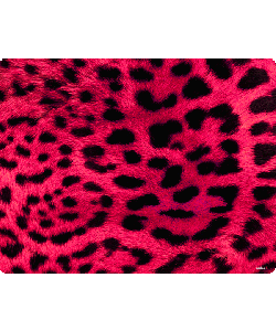 Pink Animal Print - Sony Xperia Z1 Carcasa Fumurie Silicon