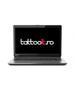 Personalizare - Toshiba Satellite E45T-A4200 Ultrabook Skin