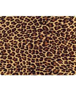 Leopard Print - Sony Xperia E1 Carcasa Neagra Silicon