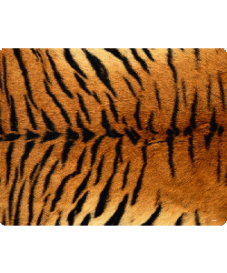 Tiger Fur - iPhone 6 Husa Book Alba Piele Eco