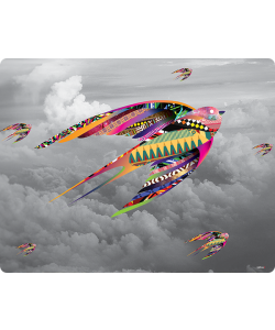 Flying Colors - iPhone 6 Plus Skin